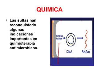 QUIMICA
• Las sulfas han
reconquistado
algunas
indicaciones
importantes en
quimioterapia
antimicrobiana.
 