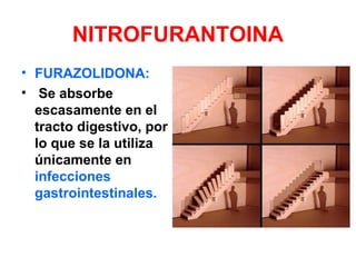 NITROFURANTOINA
• FURAZOLIDONA:
• Se absorbe
escasamente en el
tracto digestivo, por
lo que se la utiliza
únicamente en
infecciones
gastrointestinales.
 