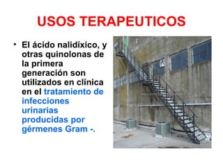 USOS TERAPEUTICOS
• El ácido nalidíxico, y
otras quinolonas de
la primera
generación son
utilizados en clínica
en el tratamiento de
infecciones
urinarias
producidas por
gérmenes Gram -.
 