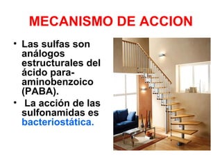 MECANISMO DE ACCION
• Las sulfas son
análogos
estructurales del
ácido para-
aminobenzoico
(PABA).
• La acción de las
sulfonamidas es
bacteriostática.
 