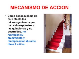 MECANISMO DE ACCION
• Como consecuencia de
este efecto los
microorganismos que
han sido expuestos a
las quinolonas y no
destruídos, no
reanudan su
crecimiento y
multiplicación durante
otras 2 a 6 hs.
 