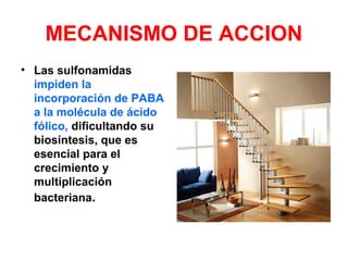 MECANISMO DE ACCION
• Las sulfonamidas
impiden la
incorporación de PABA
a la molécula de ácido
fólico, dificultando su
biosíntesis, que es
esencial para el
crecimiento y
multiplicación
bacteriana.
 