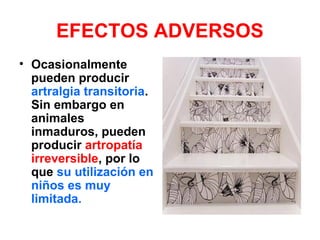 EFECTOS ADVERSOS
• Ocasionalmente
pueden producir
artralgia transitoria.
Sin embargo en
animales
inmaduros, pueden
producir artropatía
irreversible, por lo
que su utilización en
niños es muy
limitada.
 