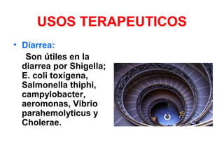USOS TERAPEUTICOS
• Diarrea:
Son útiles en la
diarrea por Shigella;
E. coli toxígena,
Salmonella thiphi,
campylobacter,
aeromonas, Vibrio
parahemolyticus y
Cholerae.
 