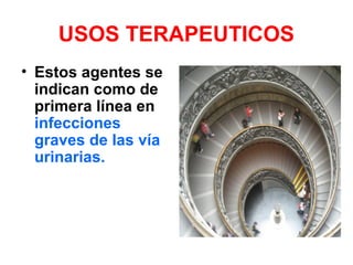 USOS TERAPEUTICOS
• Estos agentes se
indican como de
primera línea en
infecciones
graves de las vía
urinarias.
 
