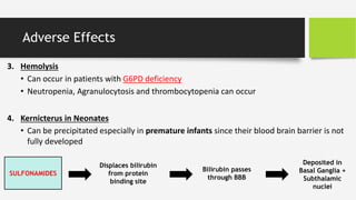 Adverse Effects
3. Hemolysis
• Can occur in patients with G6PD deficiency
• Neutropenia, Agranulocytosis and thrombocytopenia can occur
4. Kernicterus in Neonates
• Can be precipitated especially in premature infants since their blood brain barrier is not
fully developed
SULFONAMIDES
Displaces bilirubin
from protein
binding site
Bilirubin passes
through BBB
Deposited in
Basal Ganglia +
Subthalamic
nuclei
 