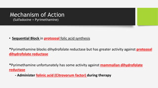Mechanism of Action
(Sulfadoxine + Pyrimethamine)
• Sequential Block in protozoal folic acid synthesis
*Pyrimethamine blocks dihydrofolate reductase but has greater activity against protozoal
dihydrofolate reductase
*Pyrimethamine unfortunately has some activity against mammalian dihydrofolate
reductase
- Administer folinic acid (Citrovorum factor) during therapy
 