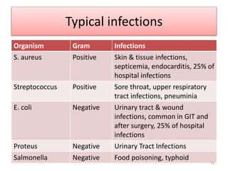 Typical infections
Organism Gram Infections
S. aureus Positive Skin & tissue infections,
septicemia, endocarditis, 25% of
hospital infections
Streptococcus Positive Sore throat, upper respiratory
tract infections, pneuminia
E. coli Negative Urinary tract & wound
infections, common in GIT and
after surgery, 25% of hospital
infections
Proteus Negative Urinary Tract Infections
Salmonella Negative Food poisoning, typhoid
15
 