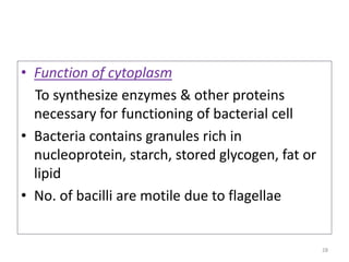 • Function of cytoplasm
To synthesize enzymes & other proteins
necessary for functioning of bacterial cell
• Bacteria contains granules rich in
nucleoprotein, starch, stored glycogen, fat or
lipid
• No. of bacilli are motile due to flagellae
28
 