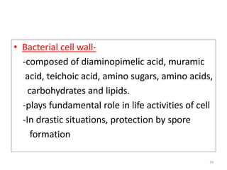 • Bacterial cell wall-
-composed of diaminopimelic acid, muramic
acid, teichoic acid, amino sugars, amino acids,
carbohydrates and lipids.
-plays fundamental role in life activities of cell
-In drastic situations, protection by spore
formation
29
 