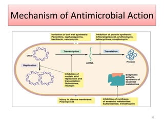 33
Mechanism of Antimicrobial Action
 