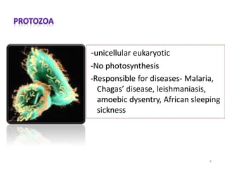 -unicellular eukaryotic
-No photosynthesis
-Responsible for diseases- Malaria,
Chagas’ disease, leishmaniasis,
amoebic dysentry, African sleeping
sickness
4
 