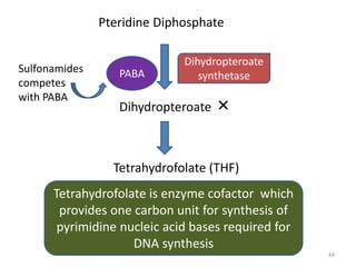44
Pteridine Diphosphate
Dihydropteroate ×
Tetrahydrofolate (THF)
Tetrahydrofolate is enzyme cofactor which
provides one carbon unit for synthesis of
pyrimidine nucleic acid bases required for
DNA synthesis
Dihydropteroate
synthetasePABASulfonamides
competes
with PABA
 
