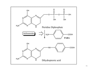45
N
H
N
N
NH2N
OH
O P O P OH
OHOH
O O
Pteridine Diphosphate
H2N COOH
PABA
Sulfonamides
N
H
N
N
NH2N
OH
NH
Dihydropteroic acid
COOH
 