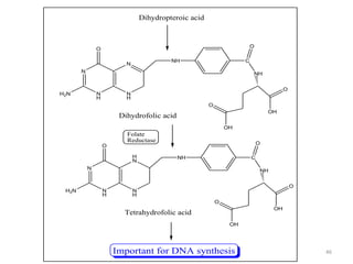 46
N
H
N
N
N
H
H2N
O
NH
Dihydropteroic acid
C
NH
O
OH
OH
O
O
Dihydrofolic acid
N
H
H
N
N
N
H
H2N
O
NH C
NH
O
OH
OH
O
O
Tetrahydrofolic acid
Folate
Reductase
Important for DNA synthesis
 