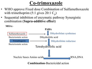 Co-trimoxazole
• WHO approve Fixed dose Combination of Sulfamethoxazole
with trimethoprim (5:1 gives 20:1 Cp)
• Sequential inhibition of enzymatic pathway Synergistic
combination (Supra-additive effect)
MOA:-
Tetrahydrofolic acid
Nucleic bases Amino acids RNA,DNA
Dihydrofolate synthetase
Dihydrofolate reductase
Sulfamethoxazole
Trimethoprim
Dihydrofolic acid
PABA
Bacteriostatic action
Bacteriostatic action
Combination-Bactericidal action
 