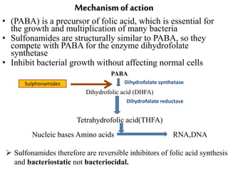 Mechanismof action
• (PABA) is a precursor of folic acid, which is essential for
the growth and multiplication of many bacteria
• Sulfonamides are structurally similar to PABA, so they
compete with PABA for the enzyme dihydrofolate
synthetase
• Inhibit bacterial growth without affecting normal cells
Tetrahydrofolic acid(THFA)
Nucleic bases Amino acids RNA,DNA
Dihydrofolate synthetase
Dihydrofolate reductase
Sulphonamides
 Sulfonamides therefore are reversible inhibitors of folic acid synthesis
and bacteriostatic not bacteriocidal.
Dihydrofolic acid (DHFA)
PABA
 