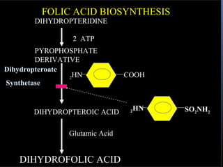 FOLIC ACID BIOSYNTHESIS
      DIHYDROPTERIDINE

               2 ATP
        PYROPHOSPHATE
        DERIVATIVE
Dihydropteroate
                2HN           COOH
Synthetase


                                   HN   SO2NH2
      DIHYDROPTEROIC ACID      2




              Glutamic Acid


   DIHYDROFOLIC ACID
 