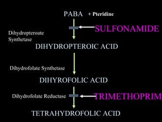 PABA   + Pteridine


Dihydropteroate
                                SULFONAMIDE
Synthetase
           DIHYDROPTEROIC ACID

Dihydrofolate Synthetase

             DIHYROFOLIC ACID

 Dihydrofolate Reductase        TRIMETHOPRIM
         TETRAHYDROFOLIC ACID
 