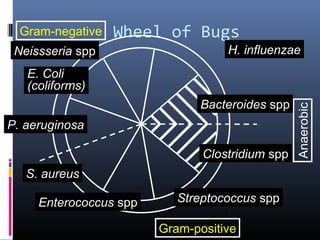 Gram-negative   Wheel of Bugs
 Neissseria spp                    H. influenzae
   E. Coli
   (coliforms)
                              Bacteroides spp




                                                 Anaerobic
P. aeruginosa

                               Clostridium spp
   S. aureus

     Enterococcus spp      Streptococcus spp

                        Gram-positive
 