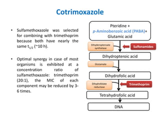 Cotrimoxazole
• Sulfamethoxazole was selected
for combining with trimethoprim
because both have nearly the
same t1/2 (~10 h).
• Optimal synergy in case of most
organisms is exhibited at a
concentration ratio of
sulfamethoxazole: trimethoprim
(20:1), the MIC of each
component may be reduced by 3-
6 times.
Pteridine +
p-Aminobenzoic acid (PABA)+
Glutamic acid
Dihydropteroic acid
Dihyderopteroate
synthetase
Glutamate
Dihydrofolic acid
Tetrahydrofolic acid
DNA
Sulfonamides
TrimethoprimDihydrofolate
reductase
 