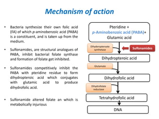 Mechanism of action
• Bacteria synthesize their own folic acid
(FA) of which p-aminobenzoic acid (PABA)
is a constituent, and is taken up from the
medium.
• Sulfonamides, are structural analogues of
PABA, inhibit bacterial folate synthase
and formation of folate get inhibited.
• Sulfonamides competitively inhibit the
PABA with pteridine residue to form
dihydropteroic acid which conjugates
with glutamic acid to produce
dihydrofolic acid.
• Sulfonamide altered folate an which is
metabolically injurious
Pteridine +
p-Aminobenzoic acid (PABA)+
Glutamic acid
Dihydropteroic acid
Dihyderopteroate
synthetase
Glutamate
Dihydrofolic acid
Tetrahydrofolic acid
DNA
Sulfonamides
Dihydrofolate
reductase
 