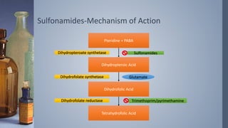 Sulfonamides-Mechanism of Action
Pteridine + PABA
Dihydropteroic Acid
Dihydrofolic Acid
Tetrahydrofolic Acid
Dihydropteroate synthetase
Dihydrofolate synthetase
Dihydrofolate reductase
Glutamate
Sulfonamides
Trimethoprim/pyrimethamine
 