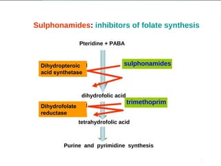 Sulphonamides: inhibitors of folate synthesis
Pteridine + PABA

dihydrofolic acid
Dihydropteroic
synthetase
acid synthetase

sulphonamides

dihydrofolic acid
dihydrofolic
Dihydrofolateacid
reductase
reductase

trimethoprim

tetrahydrofolic acid

Purine and pyrimidine synthesis
7

 