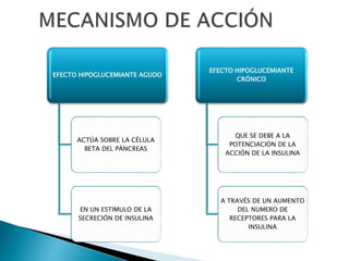 EFECTO HIPOGLUCEMIANTE AGUDO
ACTÚA SOBRE LA CÉLULA
BETA DEL PÁNCREAS
EN UN ESTIMULO DE LA
SECRECIÓN DE INSULINA
EFECTO HIPOGLUCEMIANTE
CRÓNICO
QUE SE DEBE A LA
POTENCIACIÓN DE LA
ACCIÓN DE LA INSULINA
A TRAVÉS DE UN AUMENTO
DEL NUMERO DE
RECEPTORES PARA LA
INSULINA
 