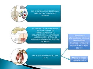 LAS SU ESTIMULAN LA SECRECIÓN DE
INSULINA EN AYUNAS Y POST
PRANDIAL
EL AUMENTO DE LA SECRECIÓN DE
INSULINA RESULTA EN
HIPERINSULINEMIA EN LA
CIRCULACIÓN PORTAL SUPRIMIENDO
LA PRODUCCIÓN HEPÁTICA DE
GLUCOSA Y DISMINUYE LA GLUCEMIA
DE AYUNO
EFECTOS EXTRAPANCREÁTICOS DE
LAS SU Mejora el estado
hiperglucémico
Disminuye la
glucotoxicidad y mejora
la sensibilidad
insulínica en músculo
esquelético y el tejido
adiposo
 