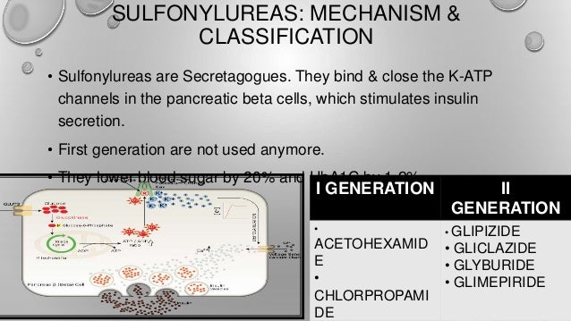 Sulfonylureas & Sulfa allergy Sulfonylureas & Sulfa allergy