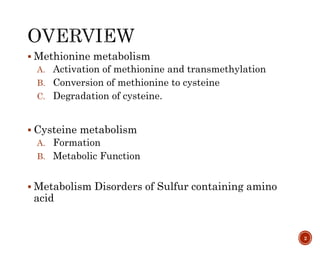 Sulfur containing amino acid metabolism | PPTX