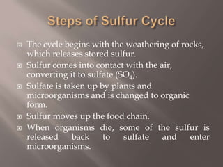 Steps of Sulfur CycleThe cycle begins with the weathering of rocks, which releases stored sulfur.Sulfur comes into contact with the air, converting it to sulfate (SO4).Sulfate is taken up by plants and microorganisms and is changed to organic form.Sulfur moves up the food chain.When organisms die, some of the sulfur is released back to sulfate and enter microorganisms.