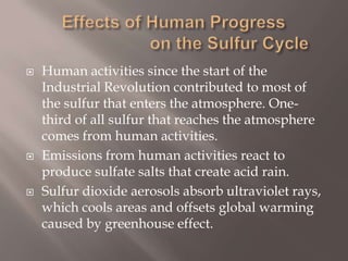 Effects of Human Progress                       on the Sulfur CycleHuman activities since the start of the Industrial Revolution contributed to most of the sulfur that enters the atmosphere. One-third of all sulfur that reaches the atmosphere comes from human activities.Emissions from human activities react to produce sulfate salts that create acid rain.Sulfur dioxide aerosols absorb ultraviolet rays, which cools areas and offsets global warming caused by greenhouse effect.