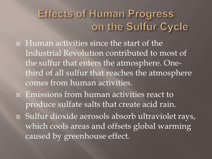 Sulfur cycle