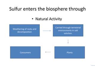 Sulfur enters the biosphere through
                    • Natural Activity
                                  Carried through terrestrial
 Weathering of rocks and
                                     environments in salt
    decomposition
                                           solution.




        Consumers                             Plants
 
