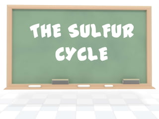 THE SULFUR
  CYCLE
 