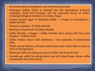  It includes both atmospheric and terrestrial processes
 Hydrogen Sulfide (H2S) is released into the atmosphere (volcanic
eruptions, fossil fuel burning, and the anaerobic decay of sulfur-
containg biological material in swamps, bogs)
 Certain marine algae  dimethyl sufide + Oxygen in atmosphere =
Sulfur dioxide.
 Volcanic eruptions  Sulfur dioxide
 Burning of fossil fuels  Sulfur dioxide
 Sulfur dioxide + Oxygen = Sulfur trioxide, then reacts with tiny water
droplets = Sulfuric Acid
 Sulfur Oxides reacts with Ammonia = tiny particles of ammonium
salts.
 Wind carries Sulfuric acid and ammonium salts which falls to earth in
form of Precipitation.
 Plants get sulfur by taking up ions of sulfate salt from the soil.
 Animals get sulfur by eating plants and all living things release sulfur
compounds when they decay.
 