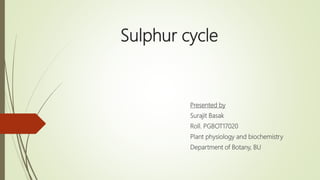 Sulphur cycle
Presented by
Surajit Basak
Roll. PGBOT17020
Plant physiology and biochemistry
Department of Botany, BU
 
