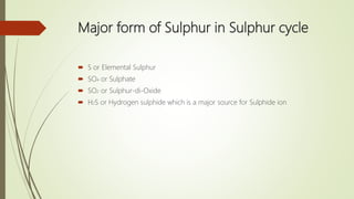 Major form of Sulphur in Sulphur cycle
 S or Elemental Sulphur
 SO4 or Sulphate
 SO2 or Sulphur-di-Oxide
 H2S or Hydrogen sulphide which is a major source for Sulphide ion
 