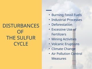 • Burning Fossil Fuels
• Industrial Processes
• Deforestation
• Excessive Use of
Fertilizers
• Mining Activities
• Volcanic Eruptions
• Climate Change
• Air Pollution Control
Measures
DISTURBANCES
OF
THE SULFUR
CYCLE
 