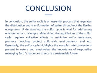 CONCLUSION
In conclusion, the sulfur cycle is an essential process that regulates
the distribution and transformation of sulfur throughout the Earth's
ecosystems. Understanding the sulfur cycle is vital for addressing
environmental challenges. Maintaining the equilibrium of the sulfur
cycle requires collective efforts to minimize sulfur emissions,
promote recycling, protect sulfur-rich environments, and etc.
Essentially, the sulfur cycle highlights the complex interconnections
present in nature and emphasizes the importance of responsibly
managing Earth's resources to secure a sustainable future.
 