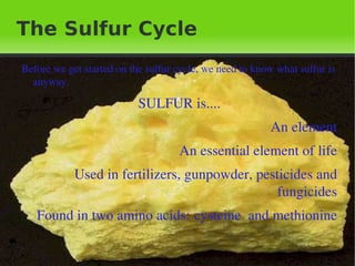 Why do we need sulfur? 