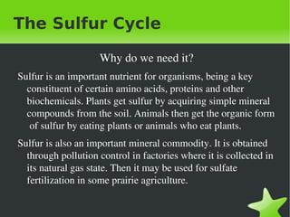 The Sulfur Cycle 