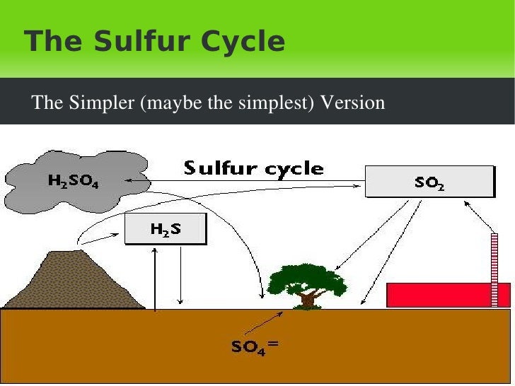 Sulfurcycle.odt