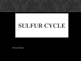SULFUR CYCLE
Mehak Maleed
 