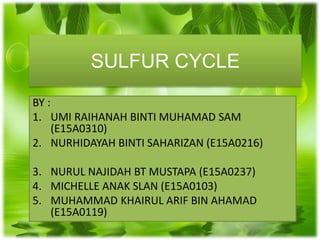 SULFUR CYCLE
BY :
1. UMI RAIHANAH BINTI MUHAMAD SAM
(E15A0310)
2. NURHIDAYAH BINTI SAHARIZAN (E15A0216)
3. NURUL NAJIDAH BT MUSTAPA (E15A0237)
4. MICHELLE ANAK SLAN (E15A0103)
5. MUHAMMAD KHAIRUL ARIF BIN AHAMAD
(E15A0119)
 