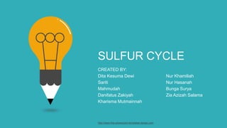 SULFUR CYCLE
CREATED BY:
Dita Kesuma Dewi Nur Khamiliah
Sariti Nur Hasanah
Mahmudah Bunga Surya
Danifatus Zakiyah Zia Azizah Salama
Kharisma Mutmainnah
http://www.free-powerpoint-templates-design.com
 