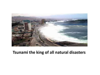 Tsunami the king of all natural disasters 