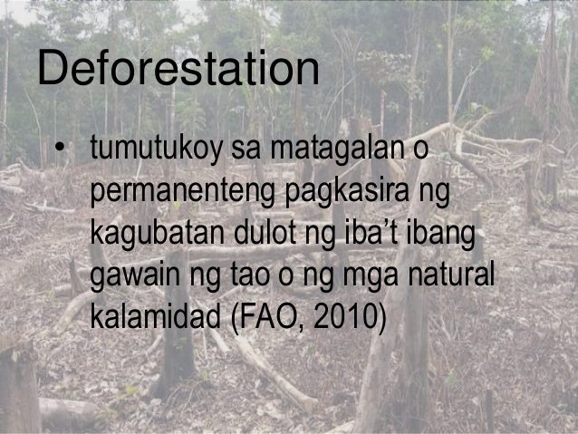 deforestation tagalog dahilan at epekto essay